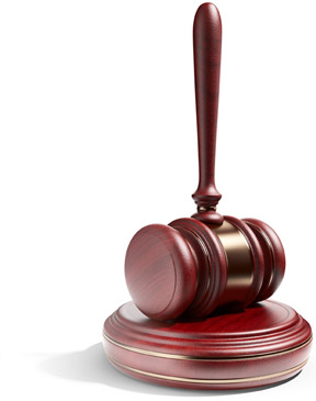 Legal Nurse Consultants